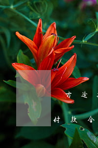 買方逾期付款合同約定了違約金-買方逾期付款合同約定了違約金怎么辦