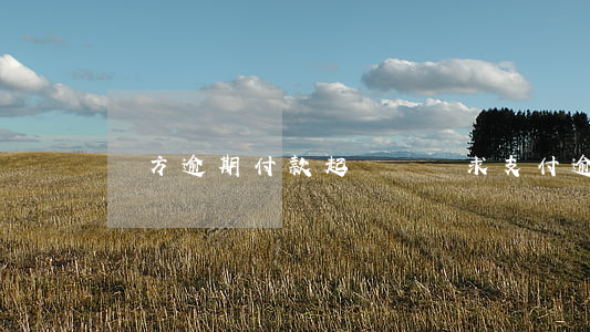 買方逾期付款起訴書(請求支付逾期利息的起訴狀)
