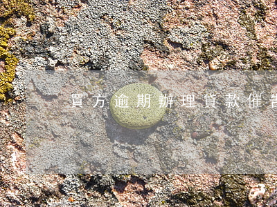 買方逾期辦理貸款催告函(付款催告函)
