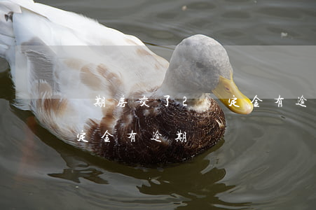 買期房交了2萬定金有逾期 買期房交了2萬定金有逾期