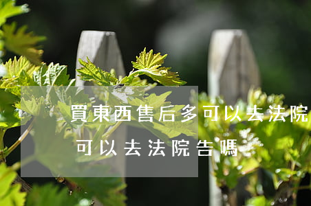 買東西售后多可以去法院告嗎(買東西售后多可以去法院告嗎)