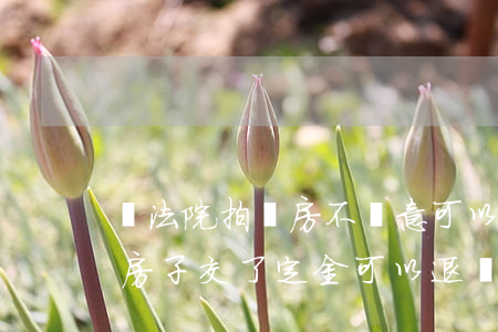 買法院拍賣房不滿意可以退房嗎(法院拍賣的房子交了定金可以退嗎?)