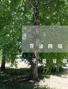 買法院拍賣的房子可以按揭嗎(法院拍賣的房子能貸款買嗎)
