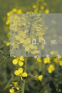 買法院拍賣的房子可以落戶嗎(法院公開拍賣的房子可以買嗎)