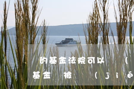 買的基金法院可以凍結(jié)嗎(購買的基金會被凍結(jié)嗎)