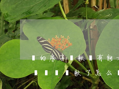 買的房子貸款沒有能力還款怎么辦(買了房子沒錢還貸款了怎么辦)