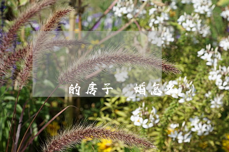 買的房子離婚怎么辦