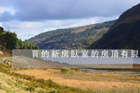 買的新房臥室的房頂有裂痕如何處理