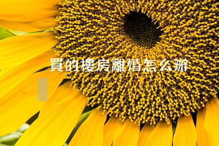 買的樓房離婚怎么辦