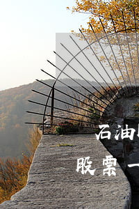 買石油股票一萬欠銀行2.66億-買石油股票一萬欠銀行2.66億是真的嗎