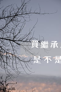 買繼承房需交什么費(繼承的房子可以買賣嗎?是不是需要交錢)