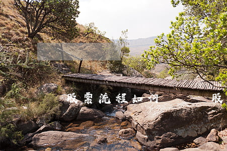 買股票流程(如何開戶買股票流程)