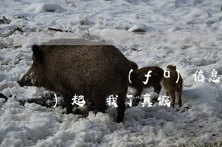 買買樂購發(fā)信息說已經(jīng)起訴我了真假?（買買樂購逾期發(fā)短信說起訴）