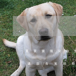 買買樂購貸款怎么最后一天還款-買買樂購還款有寬限期嗎