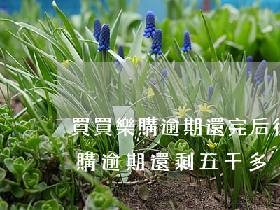 買買樂購逾期還完后征信多久消除-買買樂購逾期還剩五千多沒還上,會上訴嗎