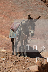 買賣合同單獨(dú)起訴逾期支付的利息-買賣合同單獨(dú)起訴逾期支付的利息怎么算