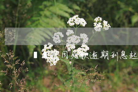買賣合同欠款逾期利息起算日期-