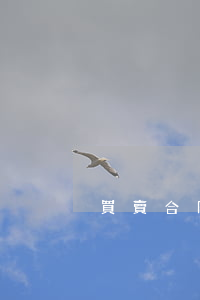 買賣合同糾紛多少錢可以立案