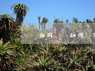 買賣合同糾紛如何確定合同履行地