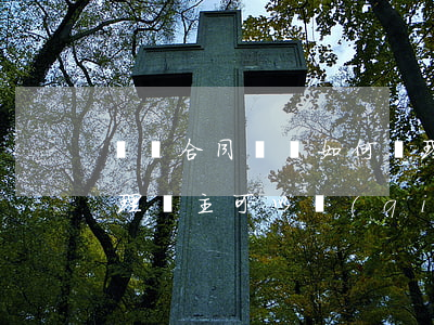 買賣合同糾紛如何處理(買賣合同糾紛如何處理車主可以強(qiáng)行拖車嗎?)
