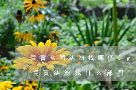 買賣合同糾紛找哪個(gè)部門解決最快(買賣糾紛找什么部門)