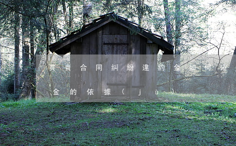 買賣合同糾紛違約金如何確定(買賣合同違約金的依據(jù))