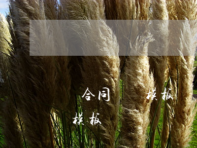 買賣合同訴狀模板(買賣合同協(xié)議書模板)