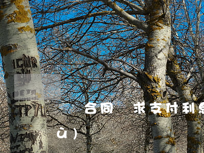 買賣合同請求支付利息有什么法律依據(jù)