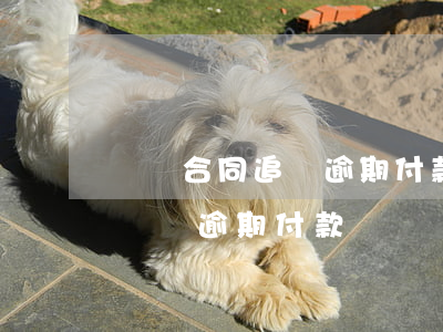 買賣合同追糾逾期付款損失辦法-買賣合同糾紛逾期付款