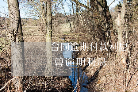 買賣合同逾期付款利息計算（上海買賣合同糾紛計算逾期利息）