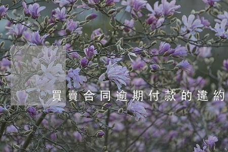 買賣合同逾期付款的違約責(zé)任