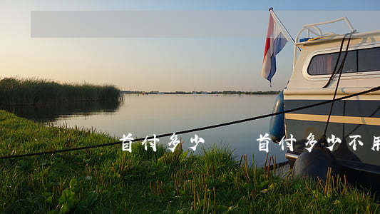買車首付多少(買車首付多少不用利息)