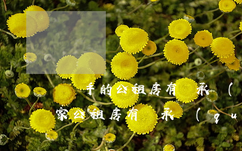 買過手的公租房有繼承權(quán)嗎(國家公租房有繼承權(quán)嗎?)
