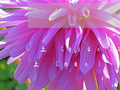 貸上錢(qián)逾期6天會(huì)上門(mén)嗎
