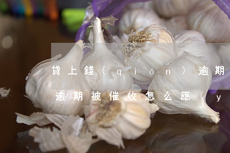 貸上錢(qián)逾期催收手段暴力(貸款逾期被催收怎么應(yīng)對(duì))
