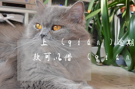 貸上錢(qián)逾期還能借嗎?(有逾期貸款可以借錢(qián)嗎)