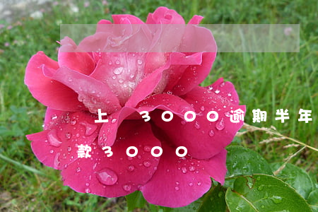 貸上錢3000逾期半年(有逾期哪里可以借款3000)