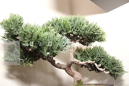 貸上錢一直顯示還款失敗怎么辦-