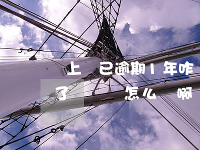 貸上錢已逾期1年咋辦(你我貸逾期了一年多了沒錢還怎么辦啊)