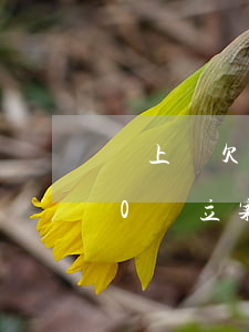 貸上錢欠2000會立案嗎(貸上錢欠2000會立案嗎)