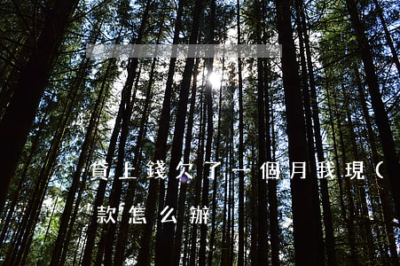 貸上錢欠了一個月(我現(xiàn)在欠貸款怎么辦)