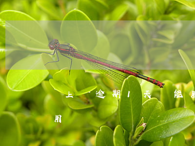 貸上錢逾期1天還能用嗎(逾期以后還上還能用嗎)