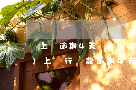 貸上錢逾期4天會(huì)不會(huì)上(銀行貸款逾期4天會(huì)上征信嗎)