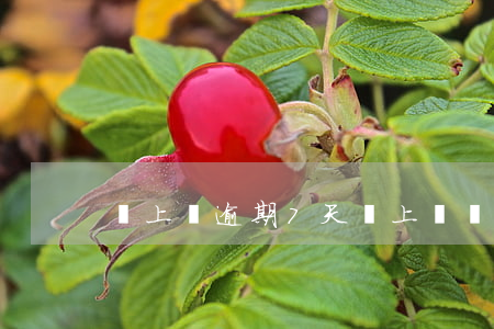 貸上錢逾期7天會上門嗎