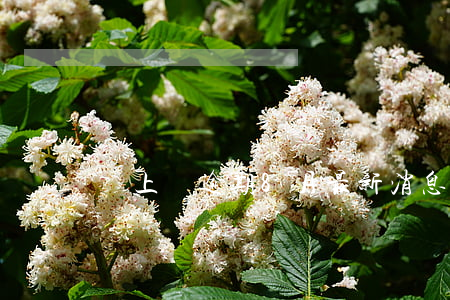 貸上錢逾期8月最新消息
