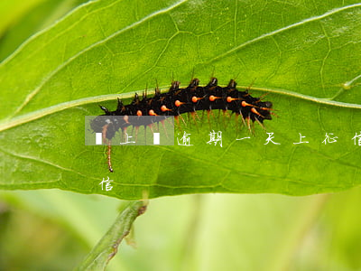 貸上錢逾期一天上征信了(今天逾期幾天上征信) 貸上錢逾期一天上征信了(今天逾期幾天上征信)