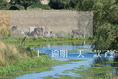 貸上錢逾期一天還款了(逾期一天還能貸款嗎)