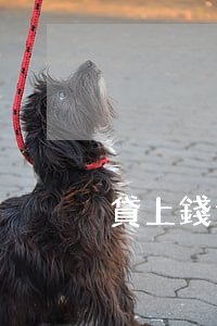 貸上錢逾期一天都不行?(貸款逾期還不上)