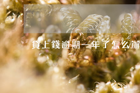 貸上錢逾期一年了怎么辦(逾期貸款怎么辦)