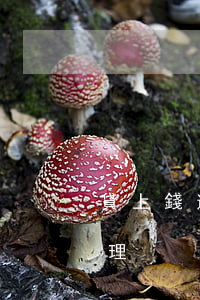 貸上錢逾期一年怎么辦(貸款逾期一年怎么處理)
